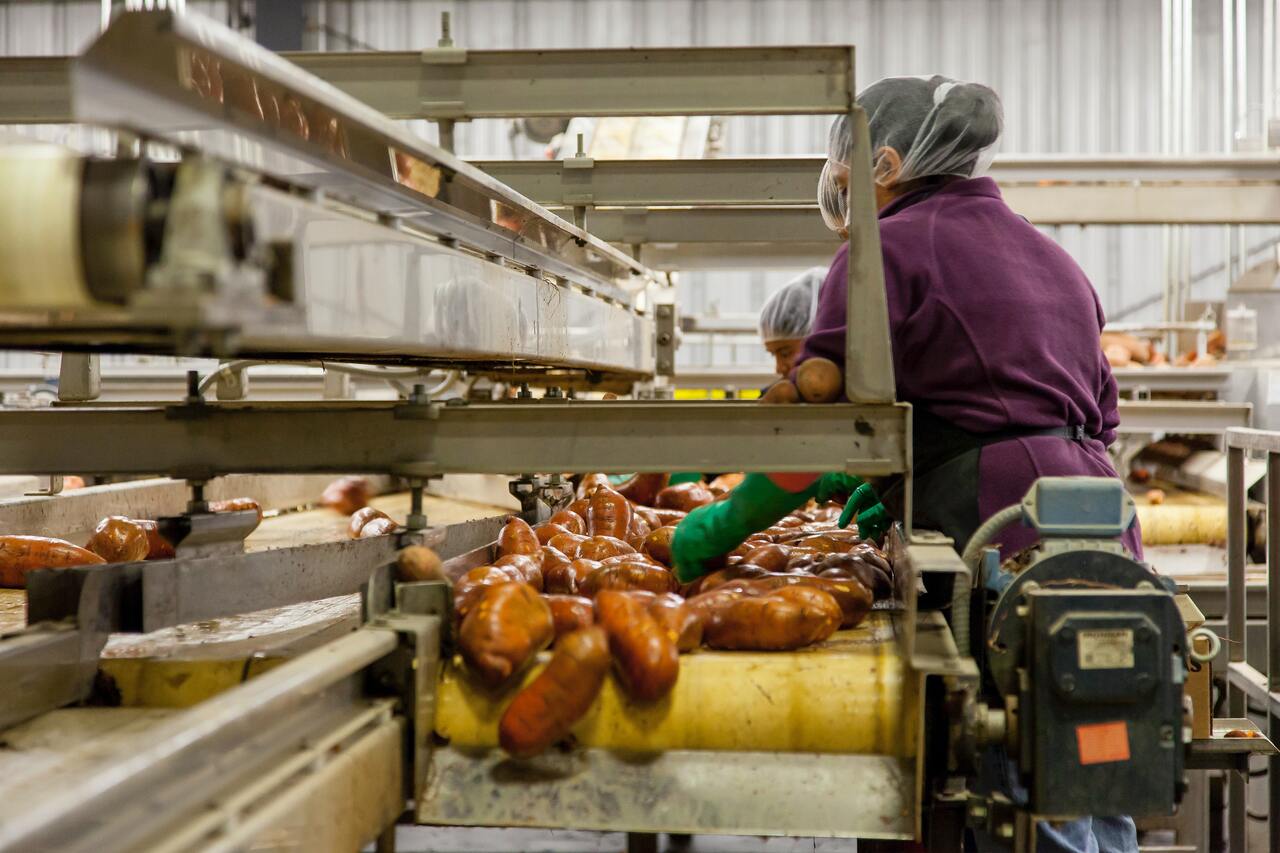 The Philippines Food Service Market