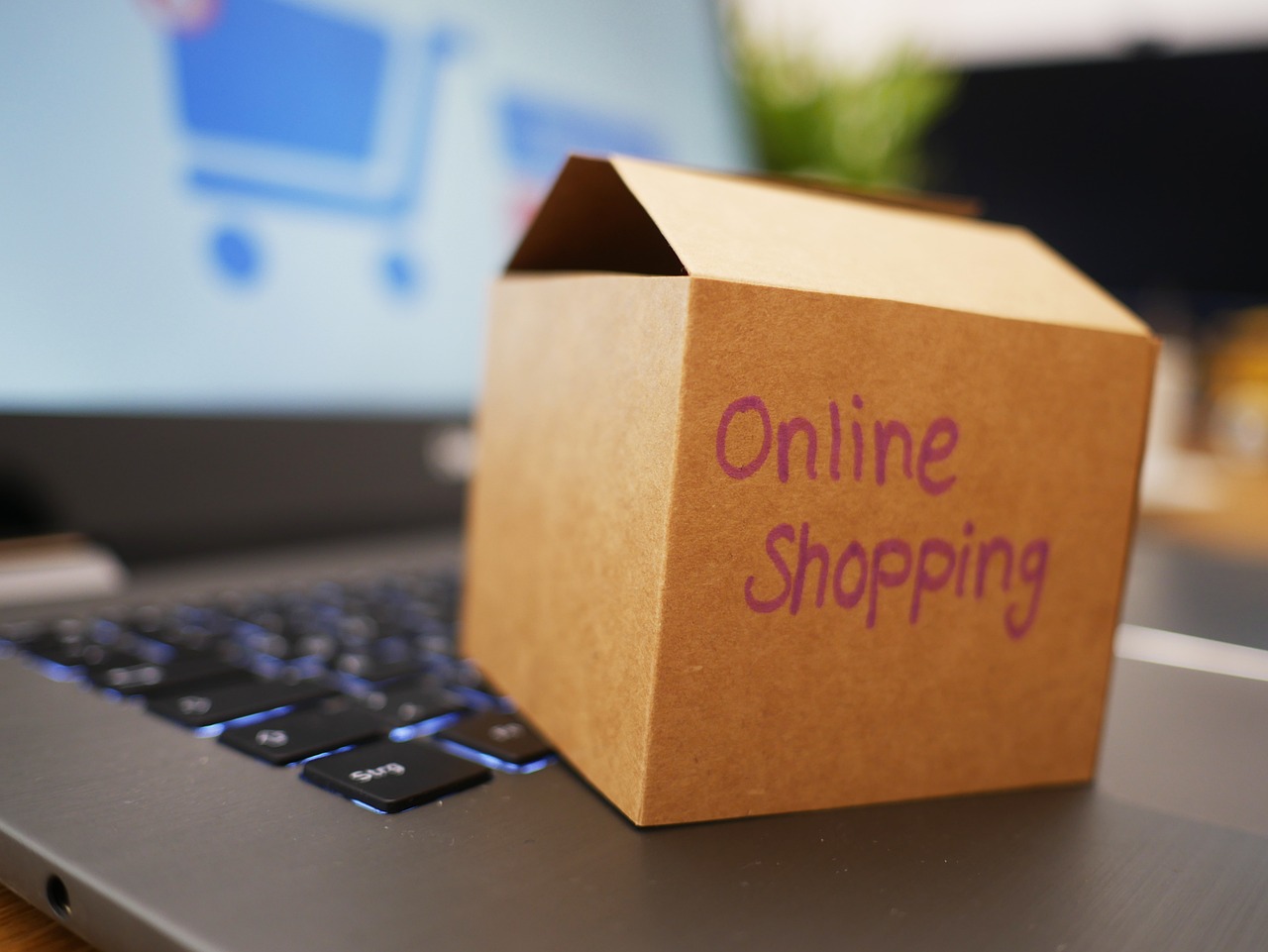Online Food Delivery